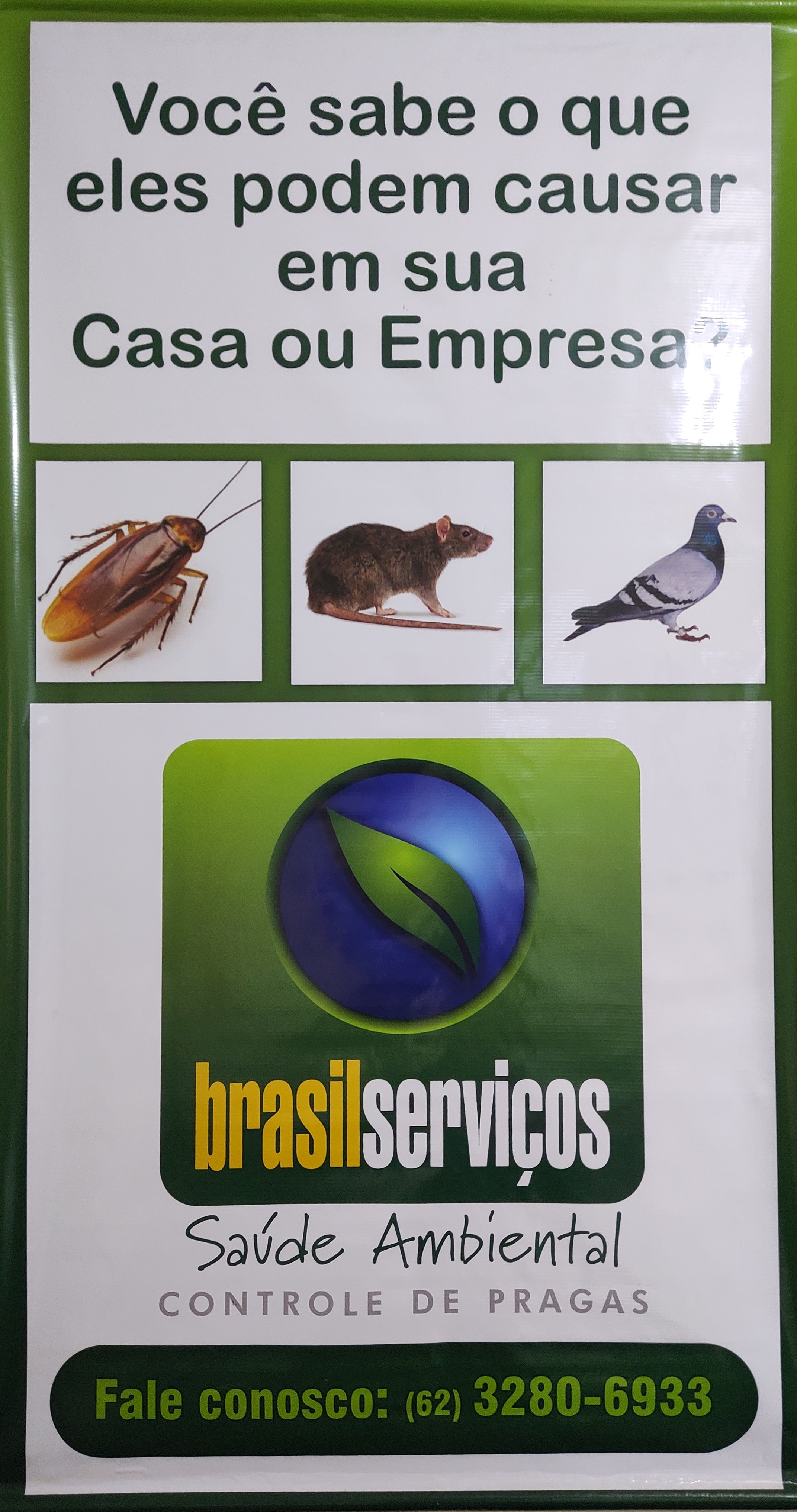 Problemas com INSETOS ou RATOS ? NS RESOLVEMOS !!!