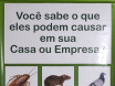 Problemas com INSETOS ou RATOS ? NÓS RESOLVEMOS !!!